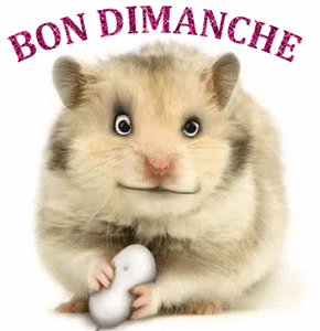 Gif animé Bon dimanche hamster